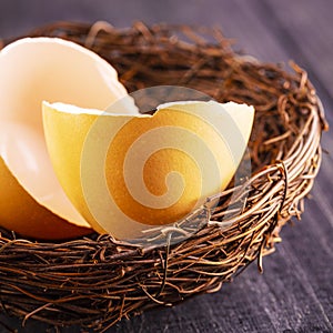 The  broken egg shells in the nest on the old wooden background
