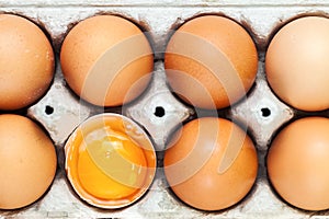 Broken egg shells with whole eggs