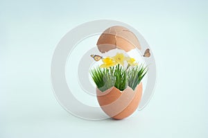 Broken egg with spring grass and flowers