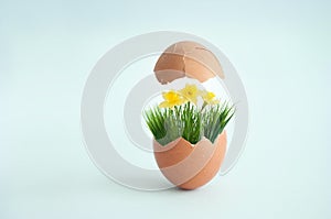 Broken egg with spring grass and flowers