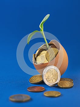 Broken egg with sprout in with euro coins on blue background