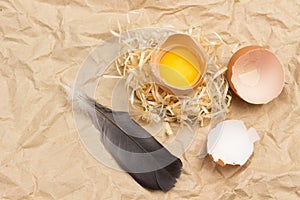 Broken egg on straw. Eggshell and bird feather on table