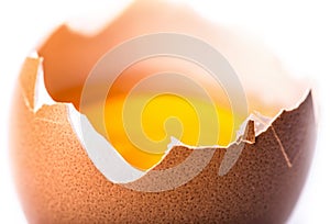 Broken egg on white background