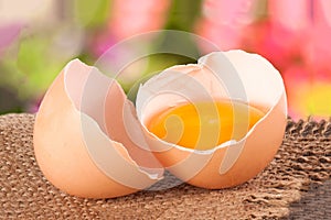 Broken egg with yolk and eggshell On a wooden table with a blurry garden background