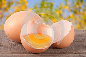 Broken egg with yolk and eggshell On a wooden table with a blurry garden background