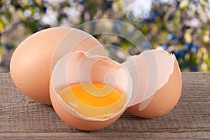 Broken egg with yolk and eggshell On a wooden table with a blurry garden background