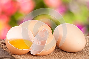 Broken egg with yolk and eggshell On a wooden table with a blurry garden background