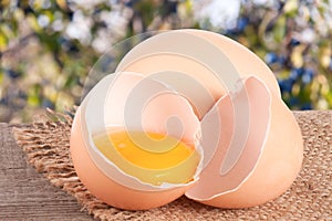 Broken egg with yolk and eggshell On a wooden table with a blurry garden background