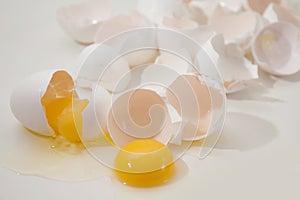 Broken eggs and eggshells on a light background