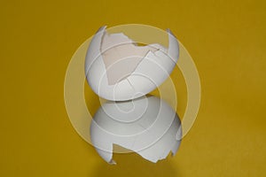 Broken eggs shell