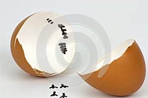 Broken Eggs shell with footprints on white Background