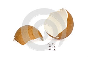 Broken Eggs shell with footprints on white Background