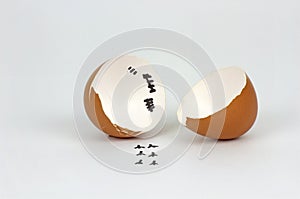Broken Eggs shell with footprints on white Background