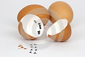 Broken Eggs shell on white background with cipping path