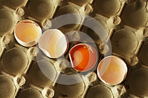 Broken eggs shells