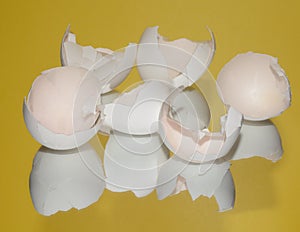 Broken eggs shells