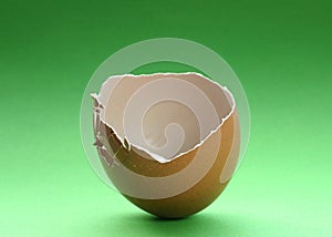 Broken eggshell #3