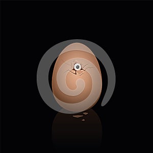 Broken Eggshell Hatching Baby Chick Eye Chicken Looking Out Of Egg