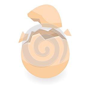 Broken eggshell icon, isometric style