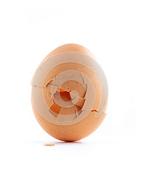 Broken eggshell like a new birth isolated on white background