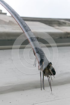 Broken electrical cable with blurred background, outdoor