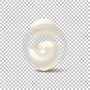 Broken empty eggshell on transparent background. Vector realistic design element.