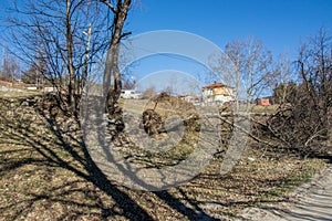 Broken, fallen trees branch after a storm in winter, outdoors, nature`s concept