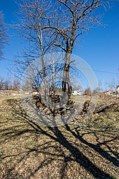 Broken, fallen trees branch after a storm in winter, outdoors, nature`s concept