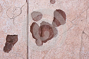 Broken floor tile detail. Construction issues. Damaged surface