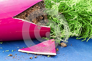 Broken flower pot
