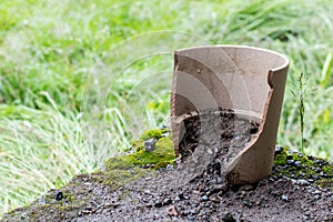 Broken flower pot
