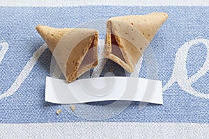 Broken fortune cookie with blank message