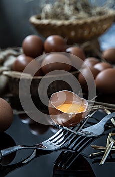 Broken fresh chicken egg Hen egg balanced on a composition of two intertwined forks with fresh chicken eggs on wood background