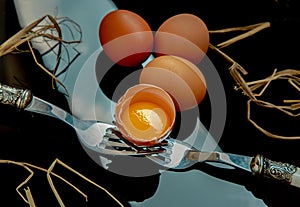 Broken fresh chicken egg Hen egg balanced on a composition of two intertwined forks and Three fresh chicken eggs over black