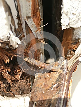 Broken garage door fastener screws