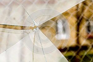 Broken Glass Background