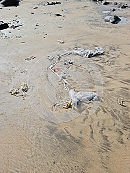 Pollution on Mumbai Versova beach endangering marine life