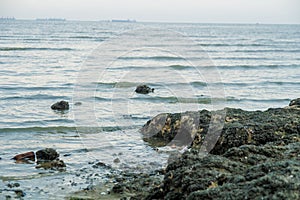 Broken glass bottle on sea beach