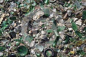 Broken glass fragments scattered on ground. Garbage, pollution background