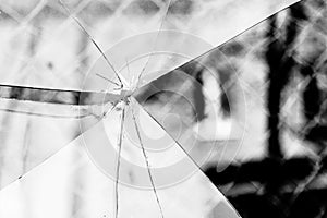 Broken Glass Grayscale