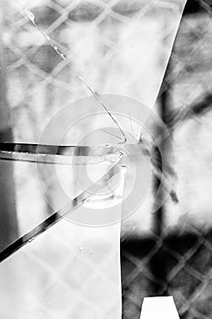 Broken Glass Grayscale