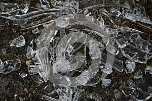 Broken Glass on Roadside