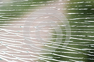 Broken glass. The texture of a broken window