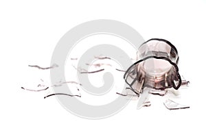 Broken glass on white background