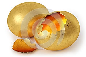 Broken golden egg