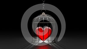 Broken heart is locked in a cage