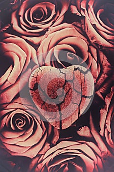 Broken Heart on Roses - Faded