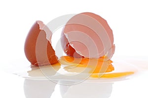 Broken hen egg.