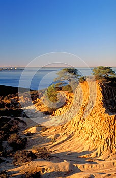 Broken Hill at Sunrise, Vertical Cover Shot