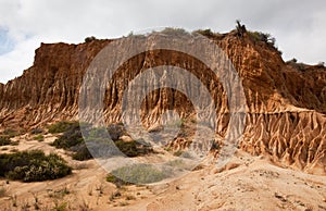 Broken Hill in Torrey Pines State Park